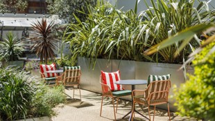 Elm Yard Courtyard 2