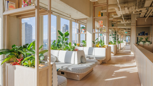 City Tower sky lounge L21